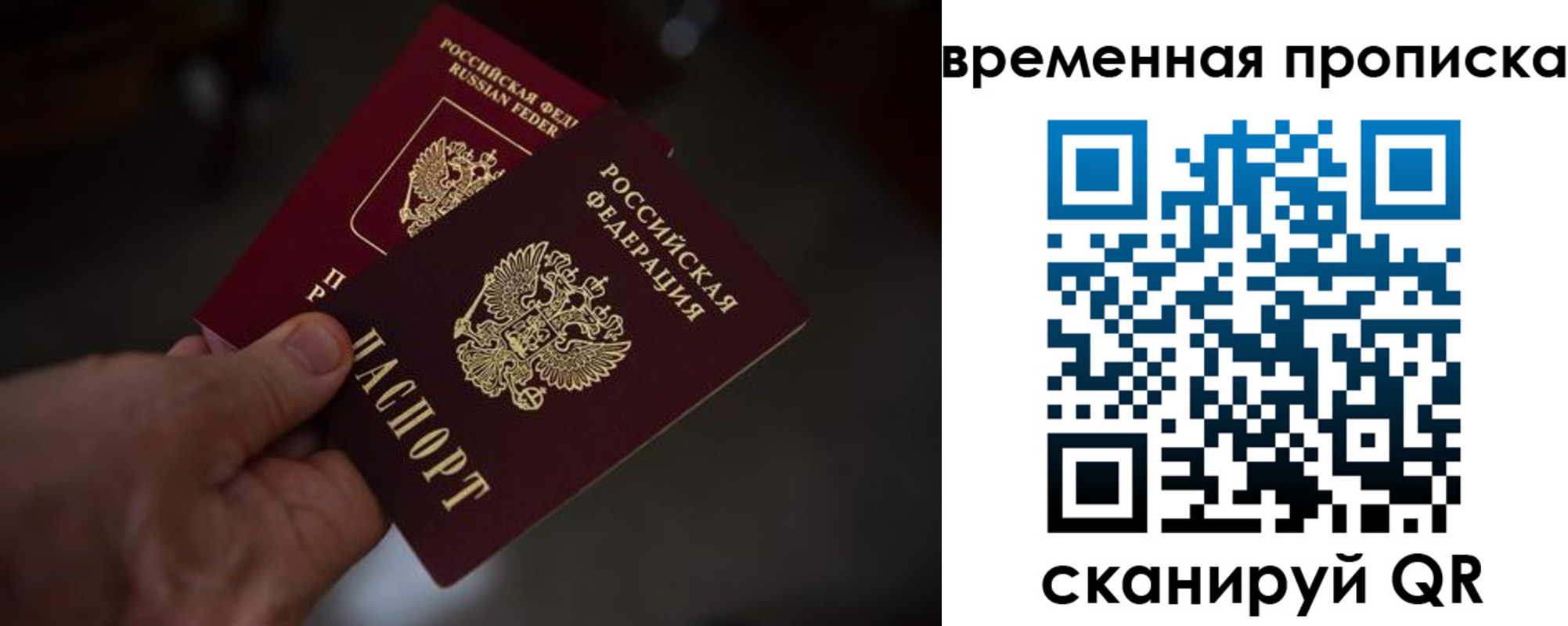 прописка в Фрязино